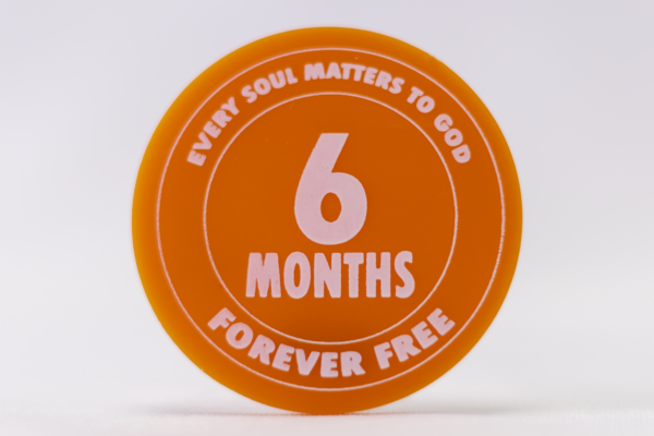 6 Month Plastic Sobriety Chip from Forever Free